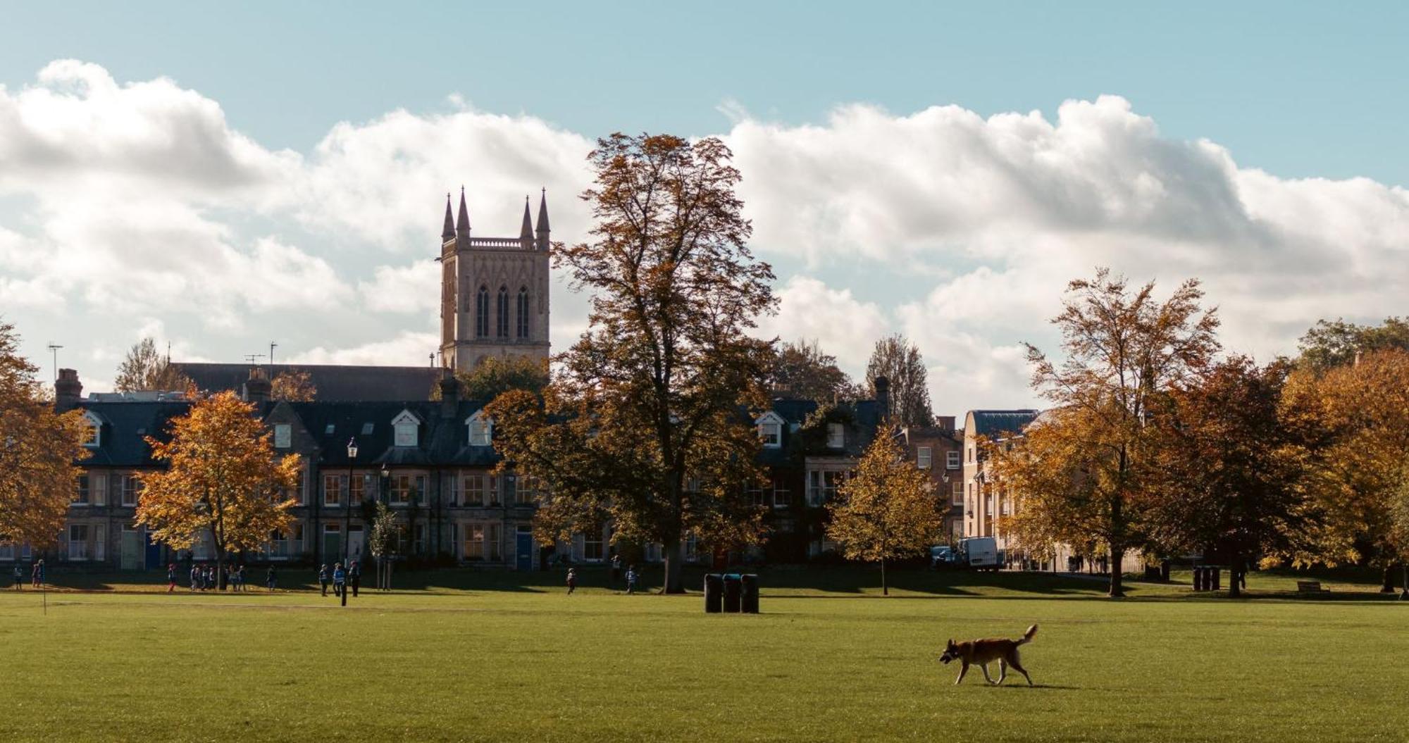 Cambridge Stays - Apartment At Addenbrooke Hospital And Bio Campus - Free Private Parking Eksteriør bilde
